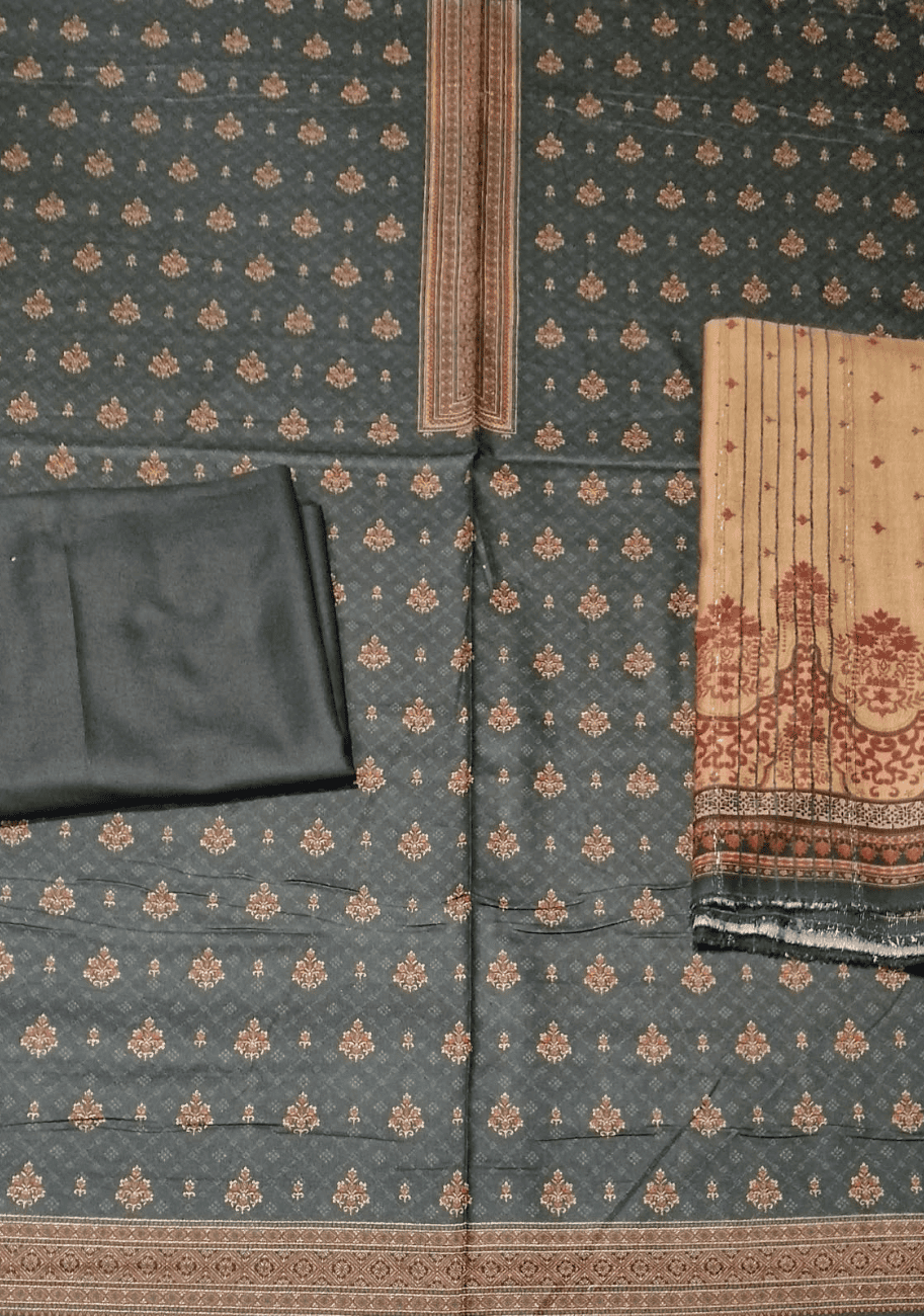 Five Star Printed Velvet Dhanak 3pc V2 D5