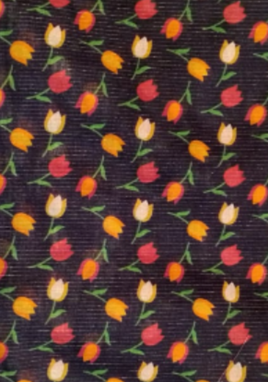 Sabeen Exclusive Printed Lawn Cut Piece-Vol-04-D9