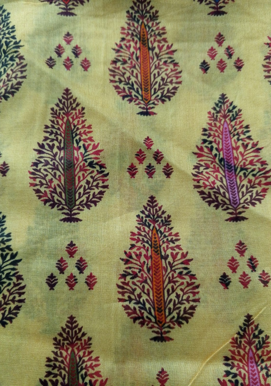 Sabeen Banadora Allover Printed 2pc V3-D10