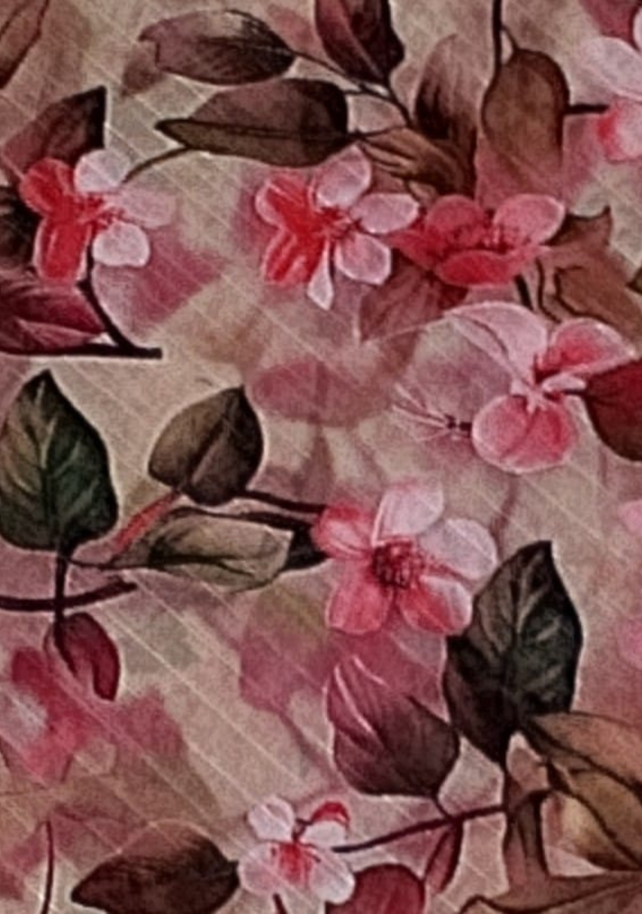 Sabeen Banadora Allover Printed 2pc V3-D11