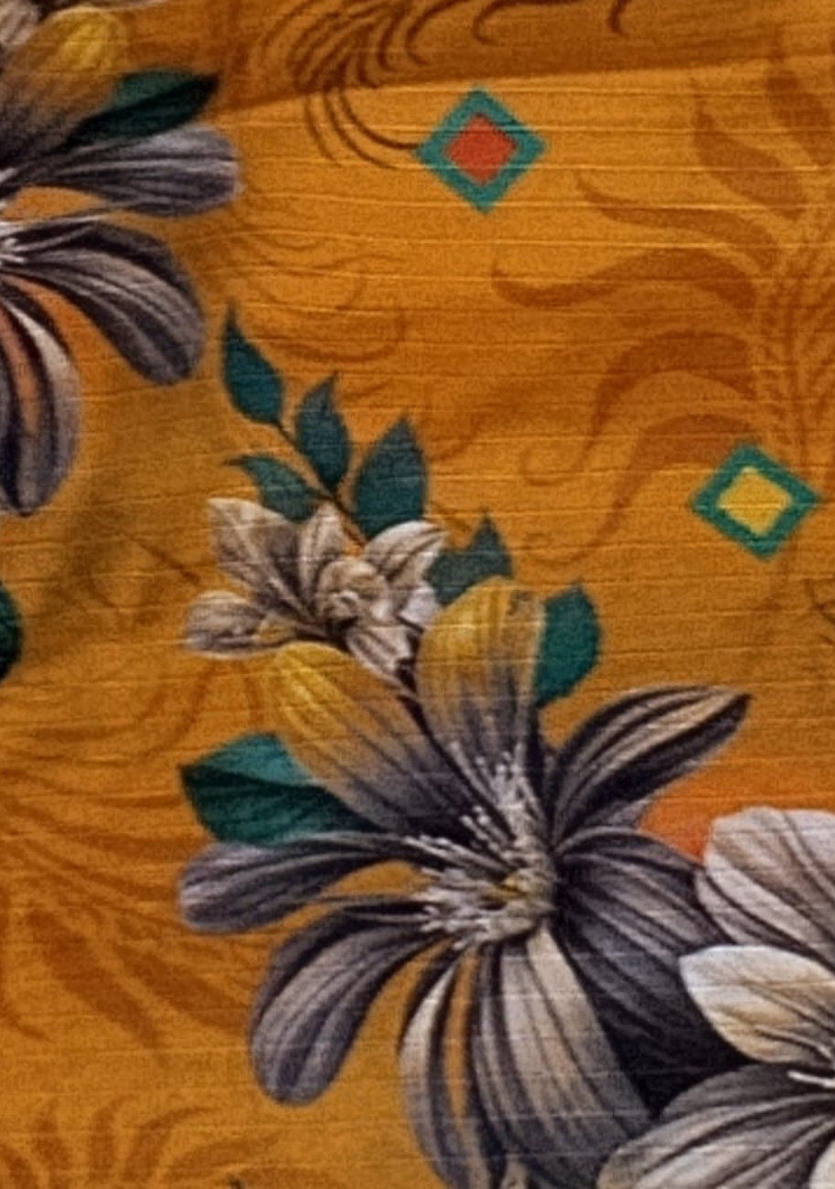 Sabeen Banadora Allover Printed 2pc V3-D12