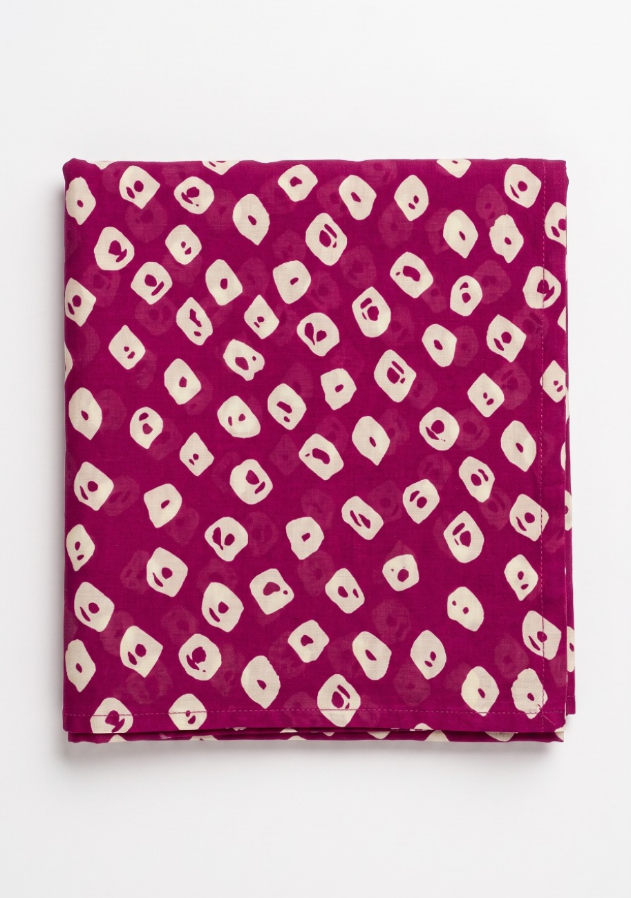 Sabeen Allover Printed 2pc V4-D1