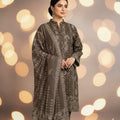 Meraj Luxury Shambrey 3pc D18