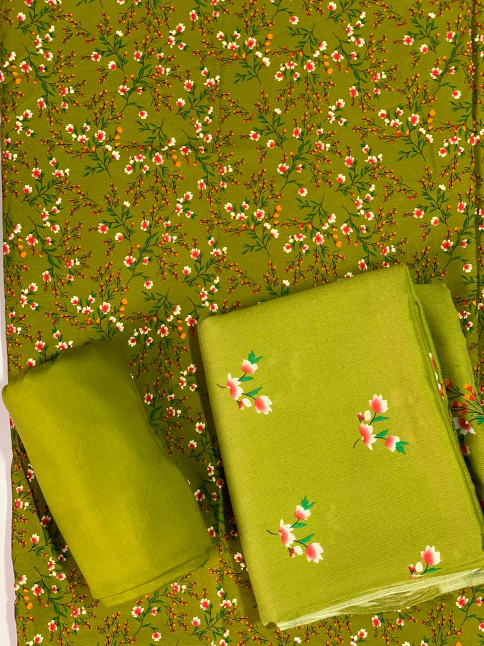 Pashmina Printed Cotray Wool Shawl 3pc D19