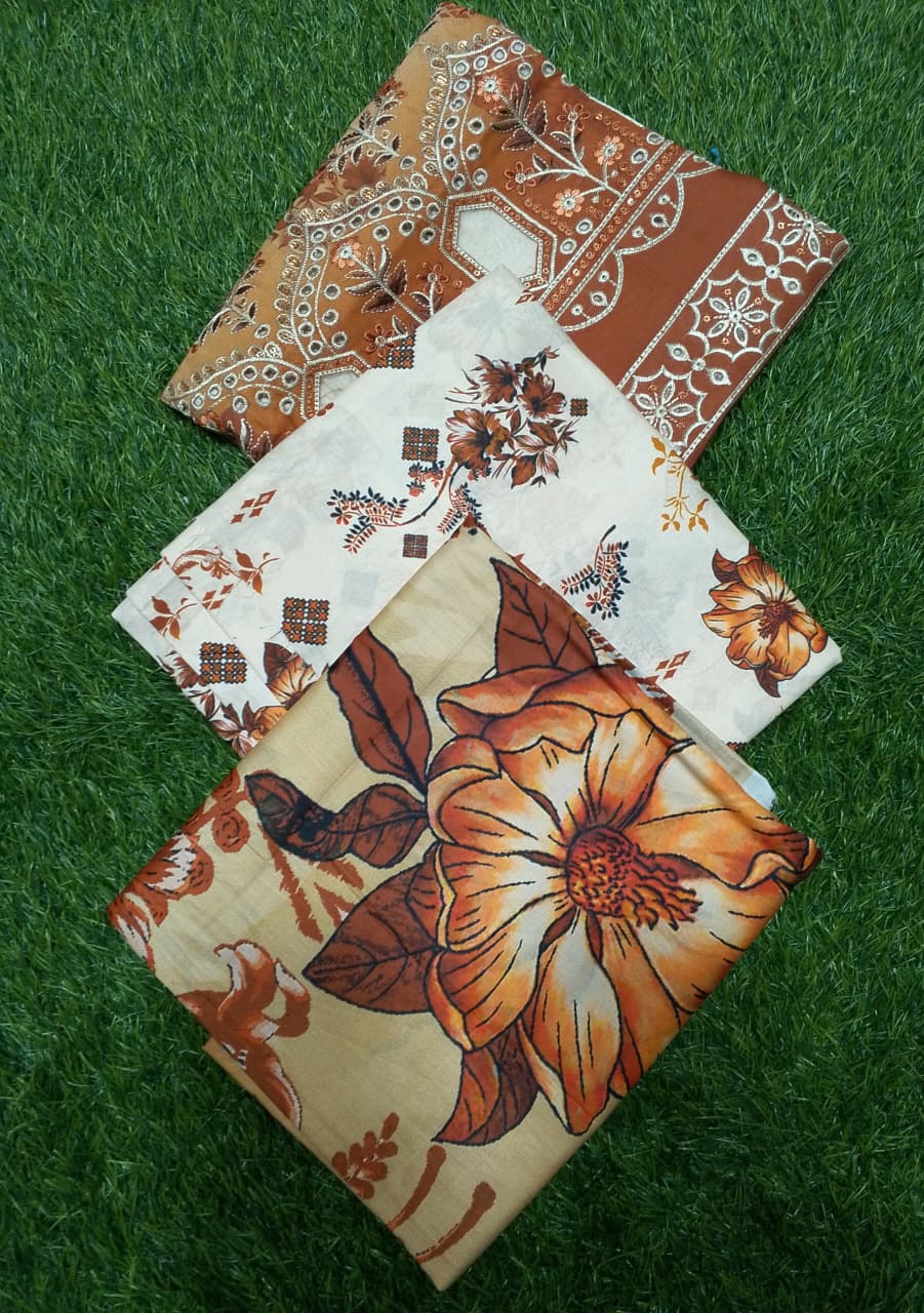 Bin Inam Chikankari Printed Embroidered Lawn 3pc D1