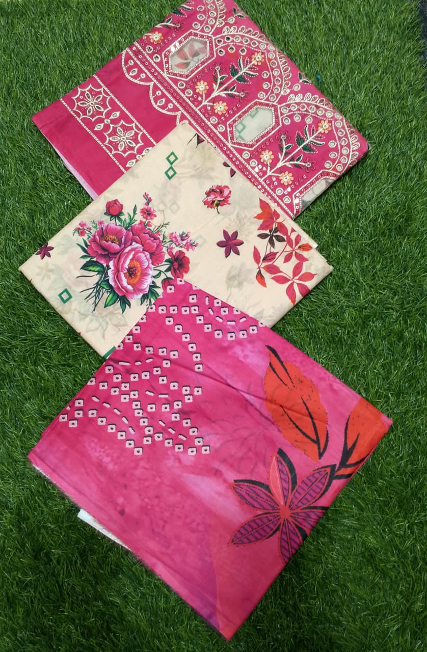 Bin Inam Chikankari Printed Embroidered Lawn 3pc D2