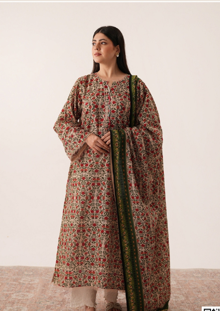 Agha Noor Printed Khaddar 3pc D10