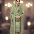 Meraj Luxury Shambrey 3pc D21