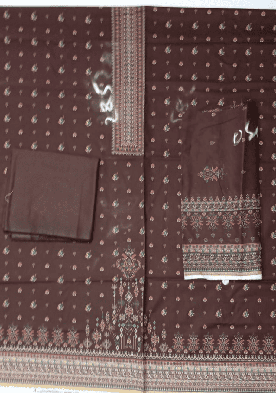 Sabeen Printed Cotton 3PC V3-D6