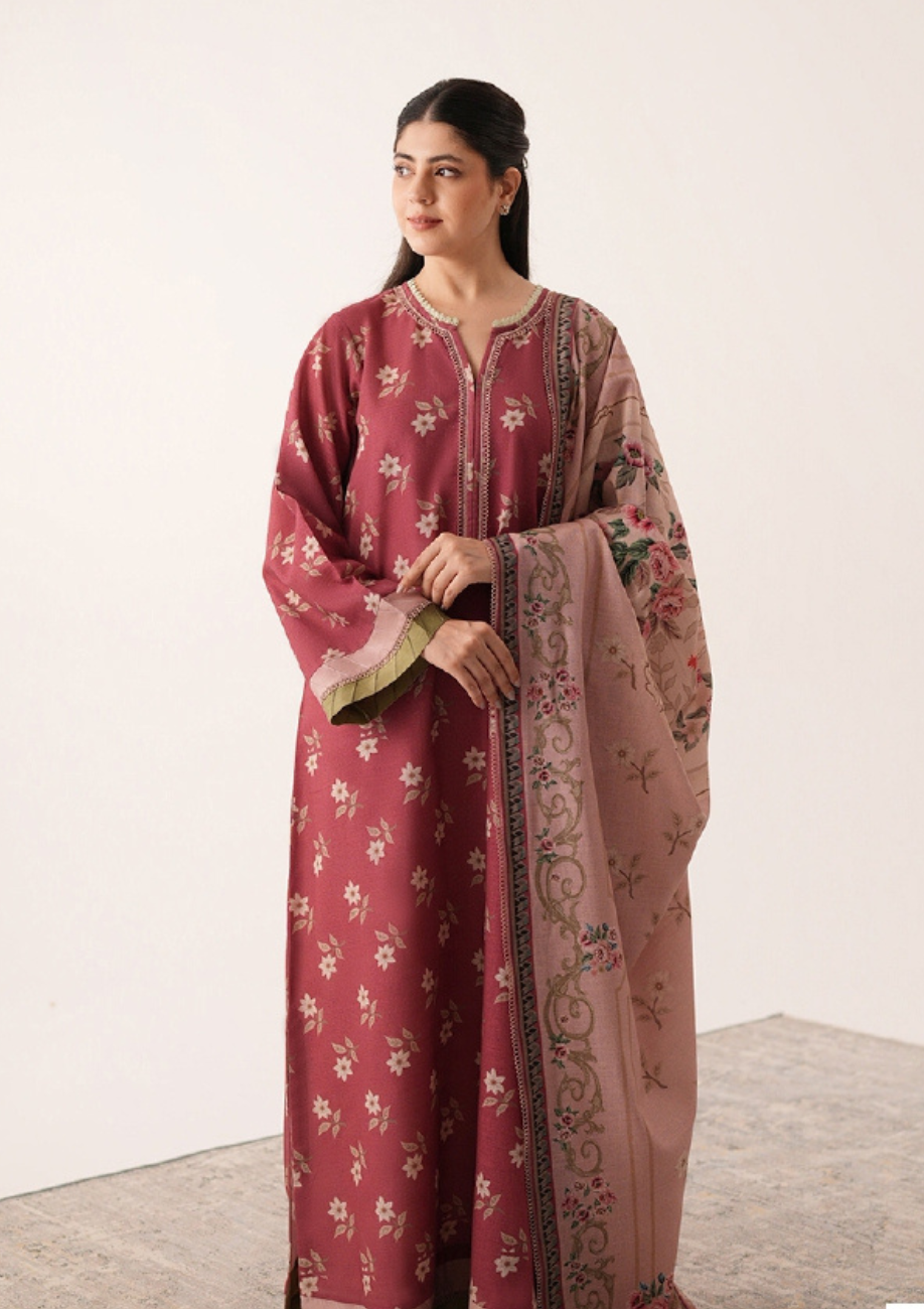 Agha Noor Printed Khaddar 3pc D1