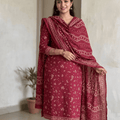 Bin Saeed Printed Khaddar 3PC Suit Vol.02 D11