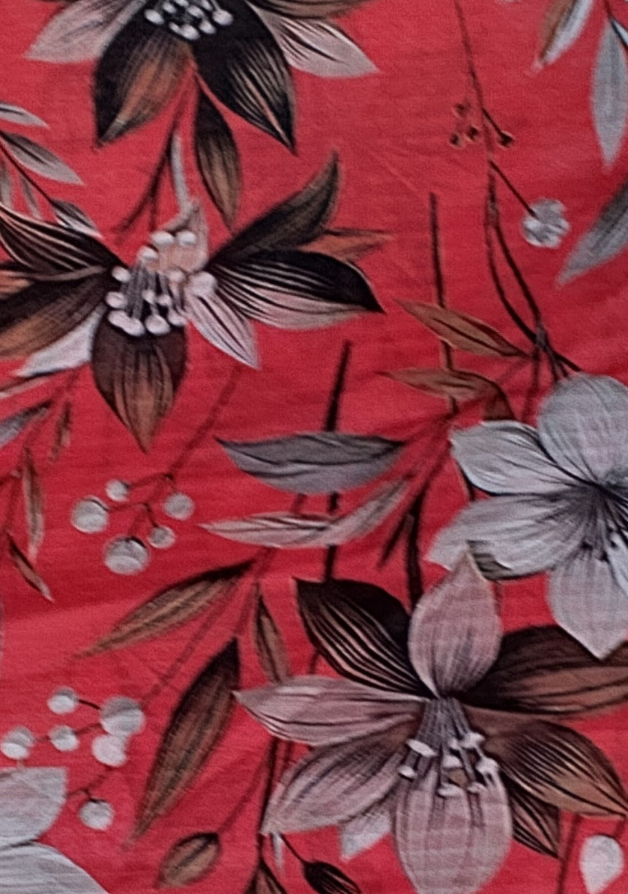 Sabeen Banadora Allover Printed 2pc V3-D10