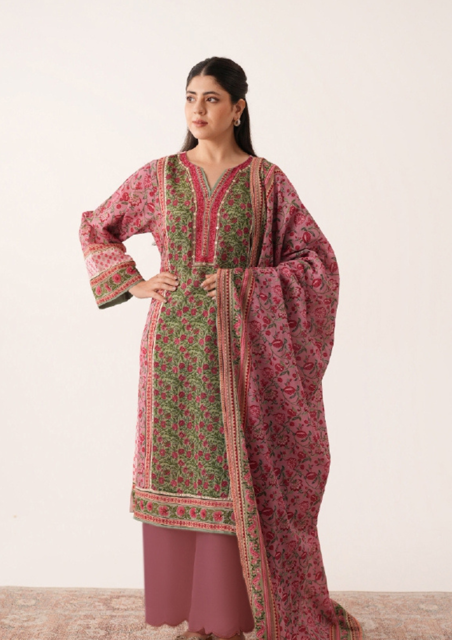 Agha Noor Printed Khaddar 3pc D4