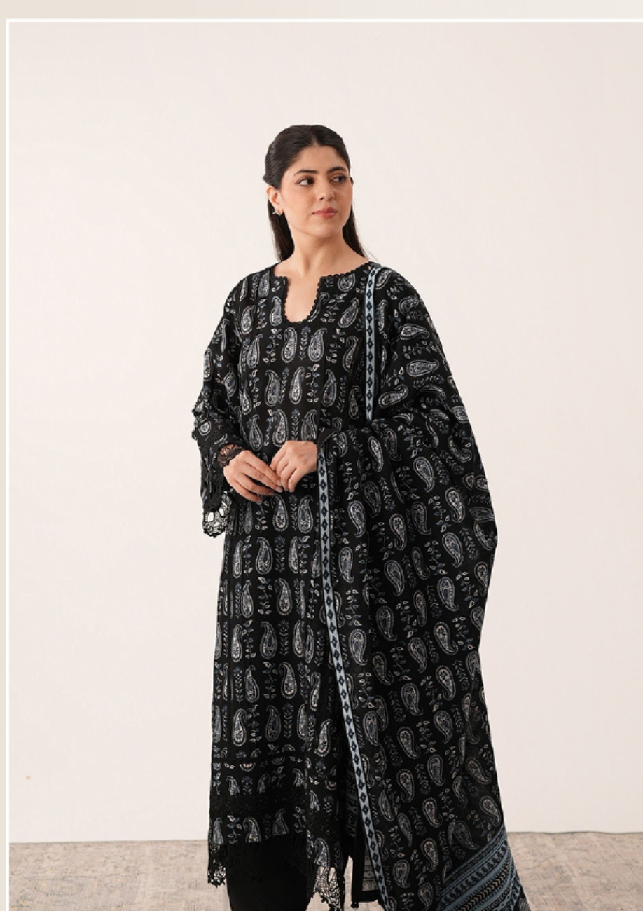 Agha Noor Printed Khaddar 3pc D6