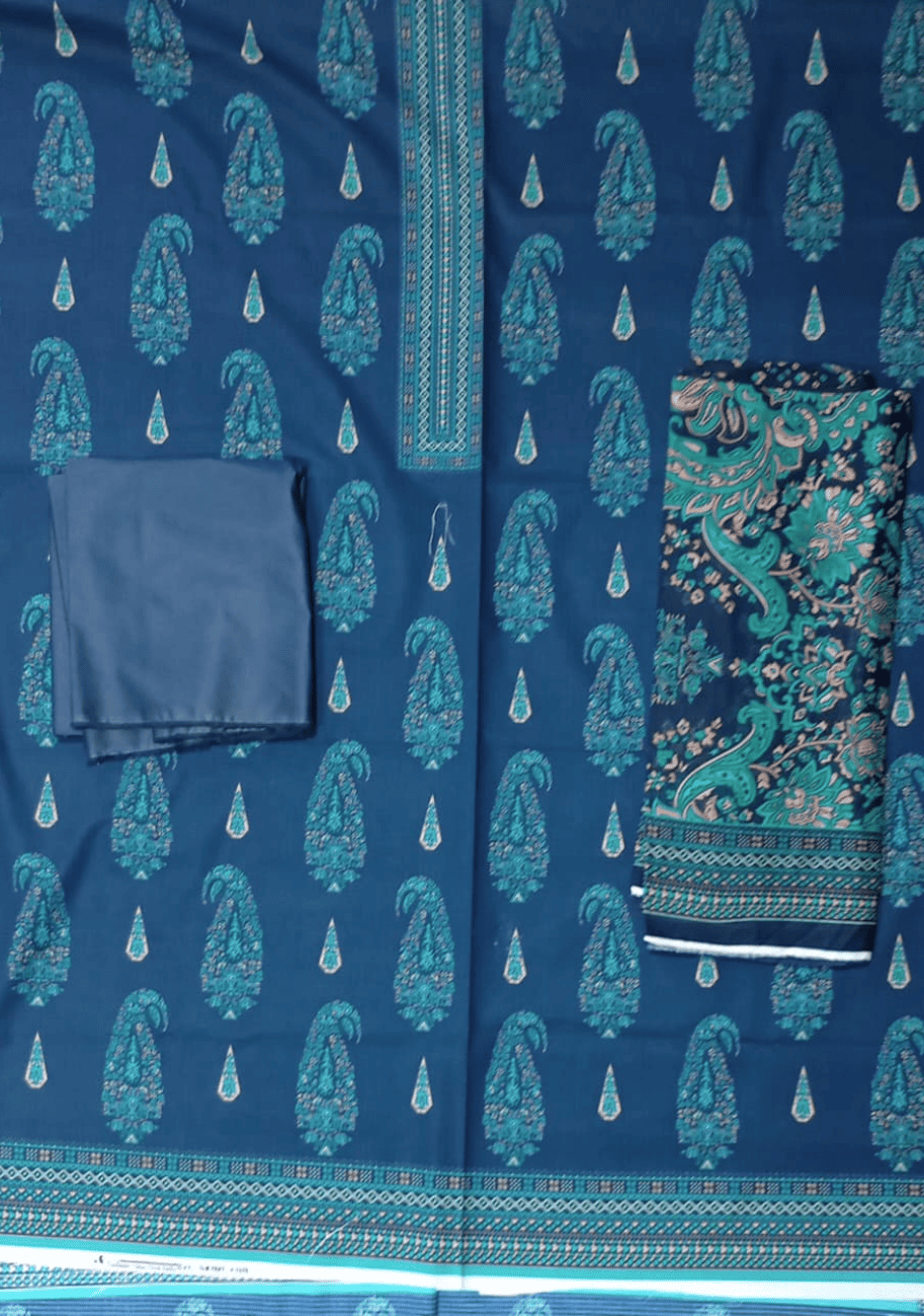 Sabeen Printed Cotton 3PC V3-D4