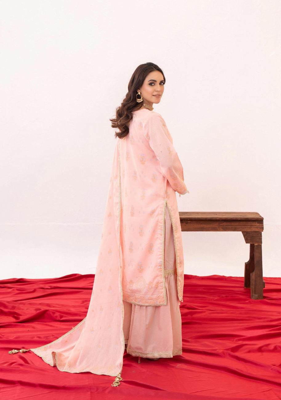 Zesh Women's Printed Jacquard 3pc Suit Vol-2 D1