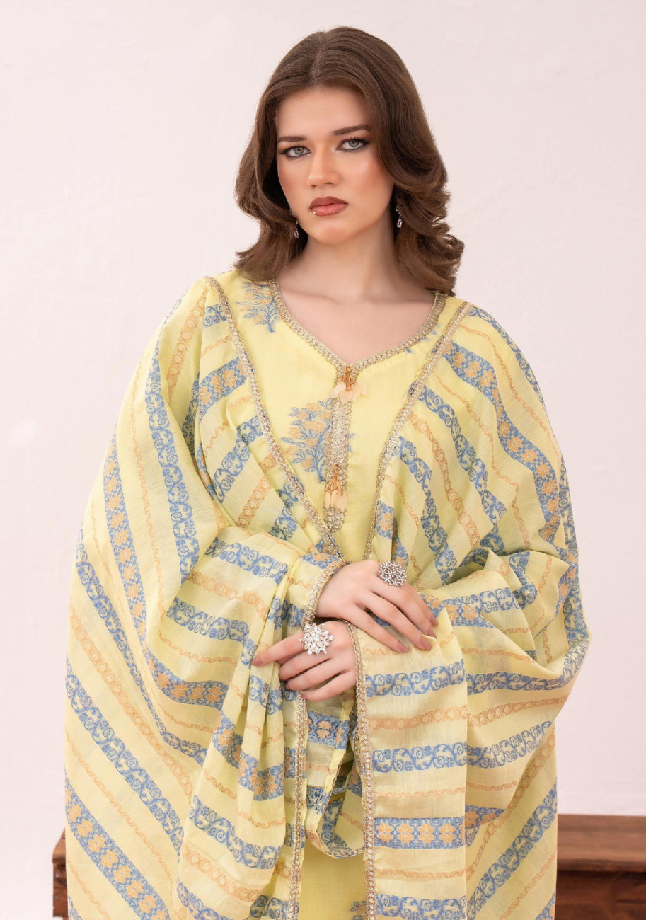 Zesh Women's Printed Jacquard 3pc Suit Vol-2 D6