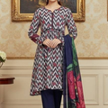 Bin Inam Sareen Zari Lawn 3pc Vol-1.D3