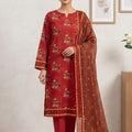 Bin Inam By Jubilee Luxury Printed Summer Lawn 3pc-3-D6