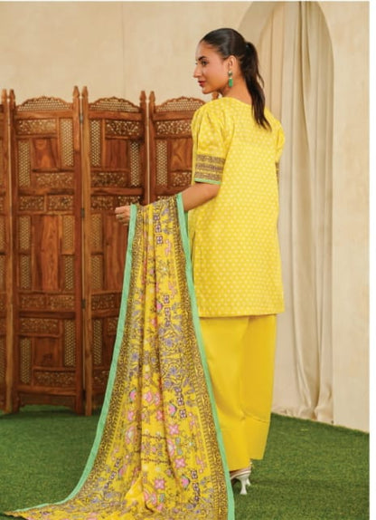 MORBHAGH BY BEECHTREE PRINTED 3PC D5