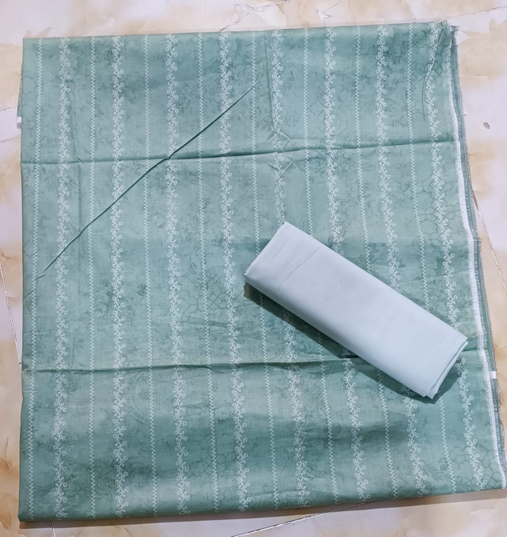 Bin Saeed Printed 2pc D11