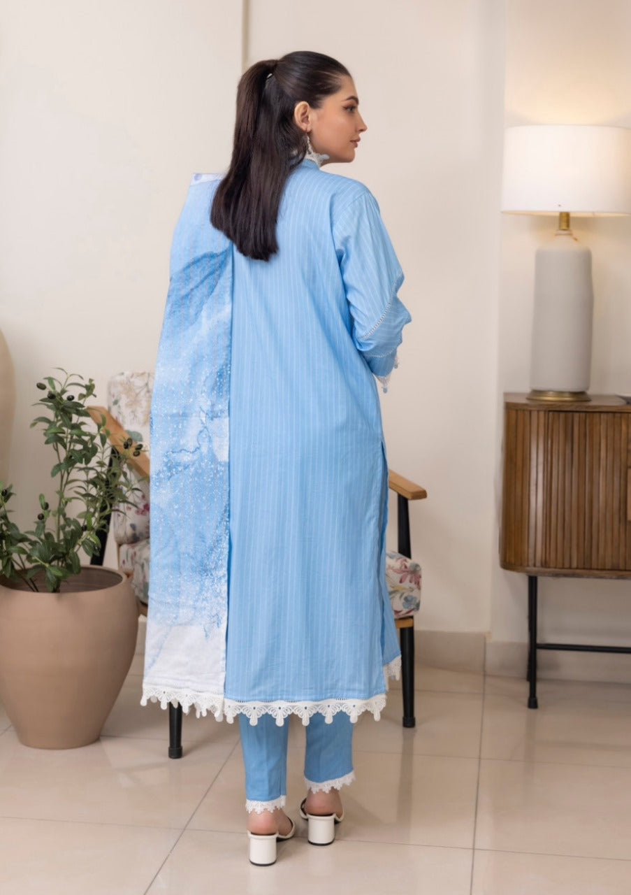 Salina Printed Linen 3pc vol.01 D11