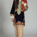 Bin Inam's Embroidered Velvet 2pc D7