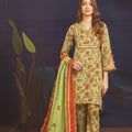 Rangoli By Bin Inam Printed Allover Lawn 3pc D20