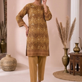 Nishat Linen Elegant Printed Summer Lawn 2pc D3